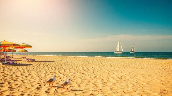 5 idées pour des vacances mémorables à l'étoile de mer Wimereux
