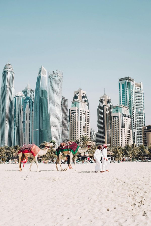 Nos bons plans pour visiter Dubaï